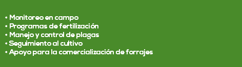  • Monitoreo en campo • Programas de fertilización • Manejo y control de plagas • Seguimiento al cultivo • Apoyo para la comercialización de forrajes 